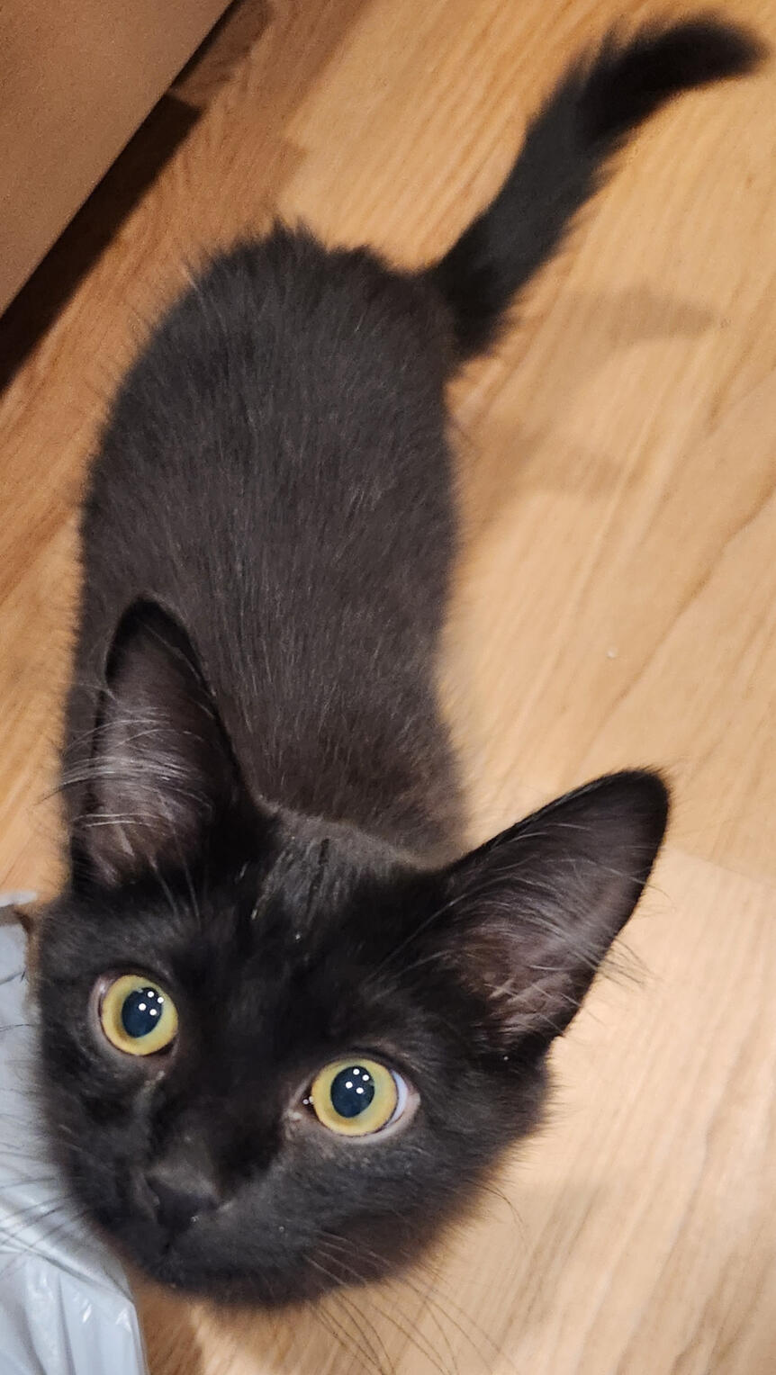 Mali
