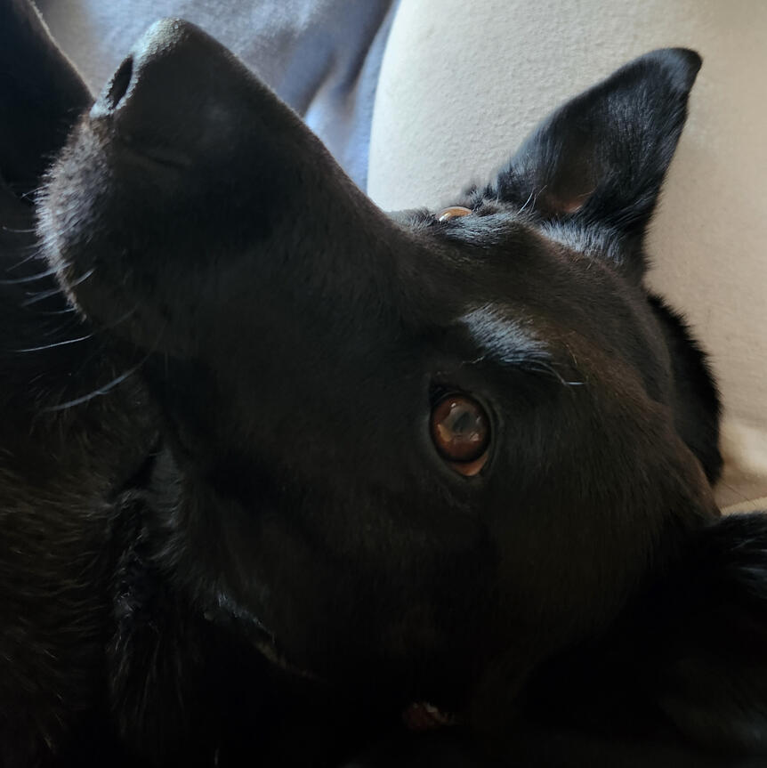 Mali