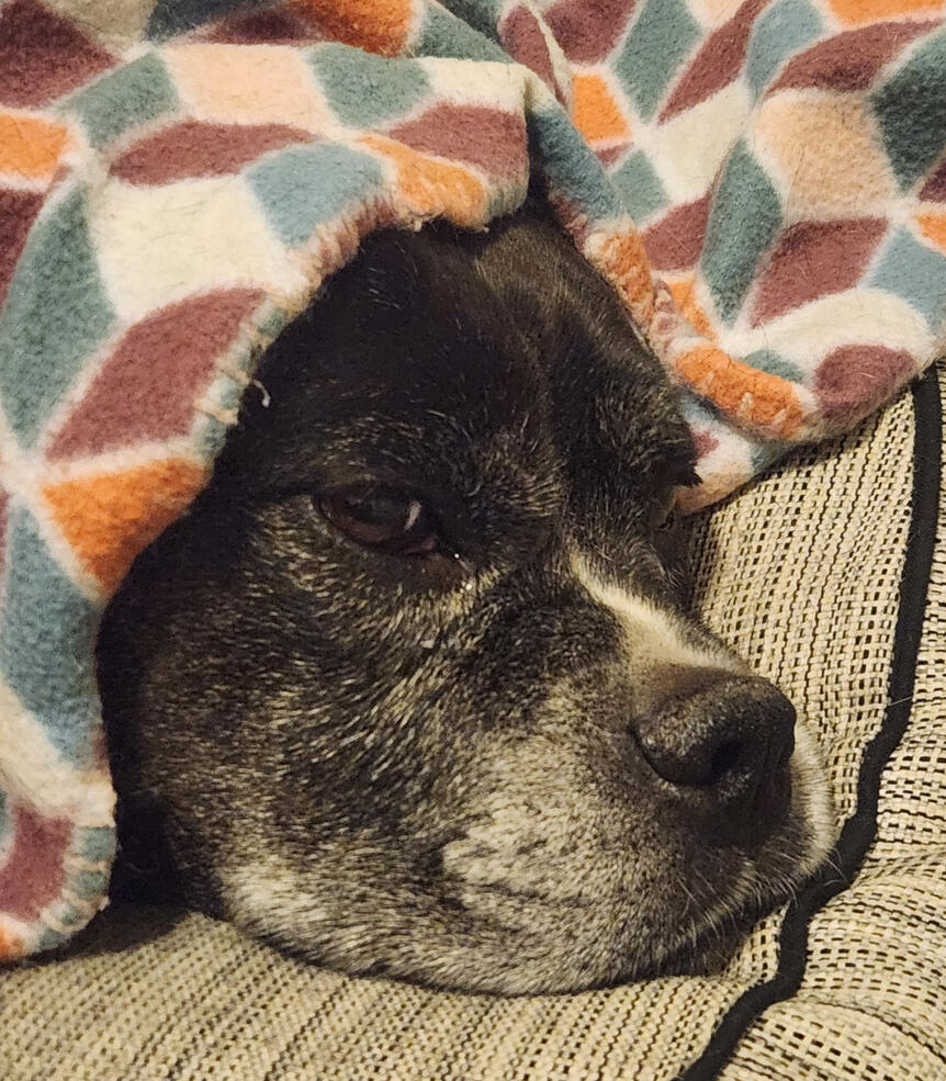 Mali